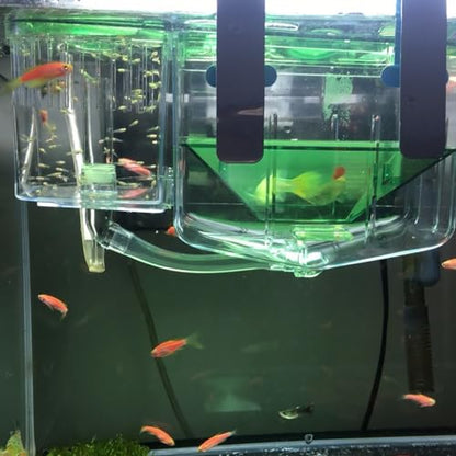 DOITOOL Fish Breeding Tank 2-Pack Transparent Isolation Box with Fine Mesh for Aquarium Fry Separation and Guppy Hatchery Home Use 5.11X7.48X4.33In