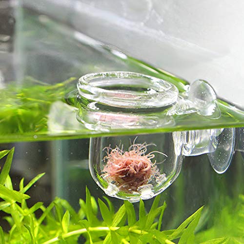 Aquarium Feeder, Transparent Suction Cup Fishes Feeding Cup Food Container for Feeding Shrimp Fish(Glass Hole Cup)