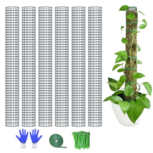6 Pack Metal Moss Pole, 40"/24"/15" Moss Poles for Plants Monstera, Stackable Sphagnum Moss Pole for Plants Work with Sphagnum Moss(6 Pack 40") - color: 6 Pack 40"