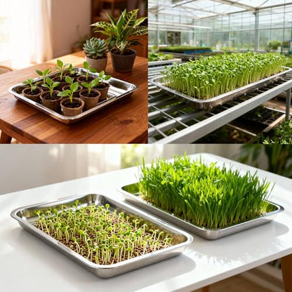 10-Pack 16 Inch Stainless Steel Growing Trays, Heavy-Duty Metal Sprouting Tray for Plants, Stainless Steel Plant Germination Trays for Hydroponics, Transplanting (Silver) - size: 10 Pack 16 Inch Silver