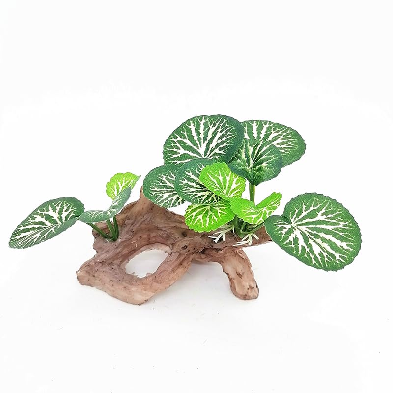 Aquarium Decor Fish Tank Accessories Betta Fish African Dwarf Frog Tank Accessories