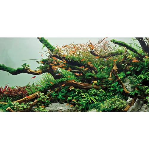 AWERT 24x12 inches Branches Fish Tank Background Green Algae Aquarium Background River Bed & Lake Fish Tank Background Vinyl Background - size: 24x12in/60x30cm