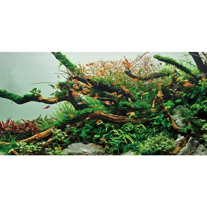 AWERT 72x16 inches Branches Fish Tank Background Green Algae Aquarium Background River Bed & Lake Fish Tank Background Vinyl Background - size: 72x16in/180x40cm