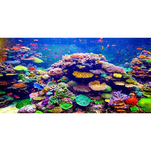 AWERT Undersea Theme Aquarium Background 72x24 inches Vinyl Colorful Coral Tropical Fish Underwater World Fish Tank Background - size: 72x24in/180x60cm