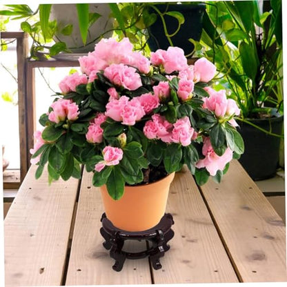 Wooden Flower Pot Stand Rustic Indoor Plant Pedestal for Desktop Tall Solid Showcase Holder for Bonsai Fish Tank and Home Decor Height