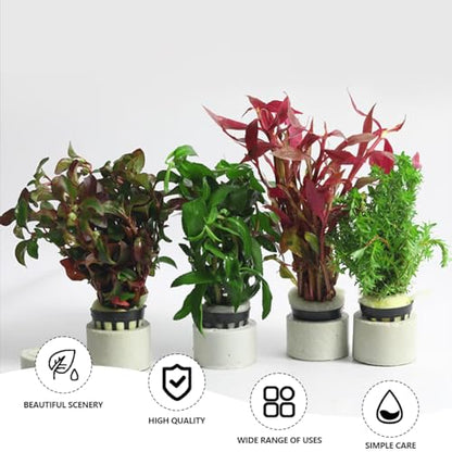 Aquatic Plants Fixed Set 10pcs Aquarium Plant Weights Pot and 10pcs Planting Cup with 10pcs Fixing Cottons Aquarium Accessories (30)