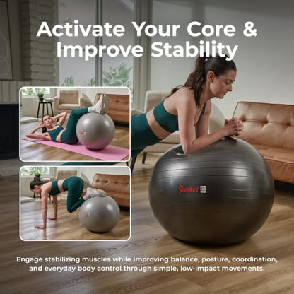 Sunny Health & Fitness Premium Anti-Burst Exercise & Stability Ball - size: 29.5" (75cm)