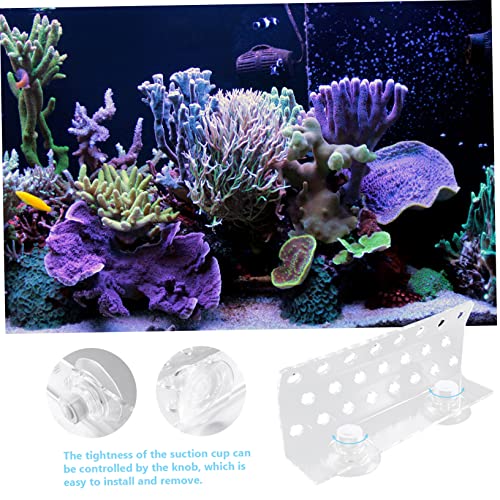 BESPORTBLE Frag Rack Support Holder for Aquarium Acrylic Bracket Fish Tank Decorations