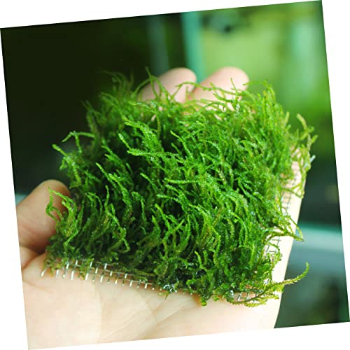 VICASKY Aquarium Fixed Mesh Pad Stainless Steel Wire Mesh Fish Tank Net Moss and Grass Plant Holder