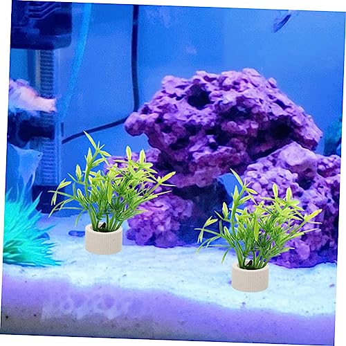 BESPORTBLE 5pcs Aquarium Plant Fixing Holder Underwater Plant Rings for Easy Planting and Decoration Fish Tanks for Beginners and Aquatic Landscapes