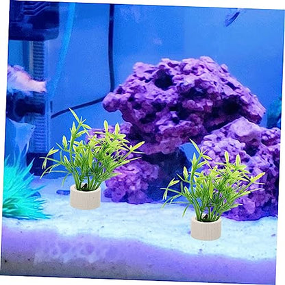 BESPORTBLE 5pcs Aquarium Plant Fixing Holder Underwater Plant Rings for Easy Planting and Decoration Fish Tanks for Beginners and Aquatic Landscapes