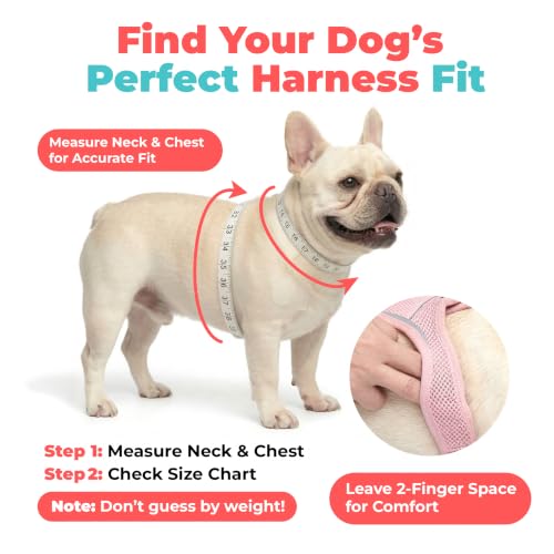 Voyager Step-in Air Dog Vest Harness - Baby Blue, X-Small - color: Baby Blue, size: XS (Chest: 13 - 14.5")