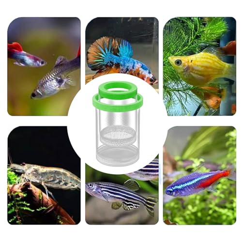 Fish Breeder Box - Clear Acrylic, Strong Suction Cups, V-Grate, Safe Fry Hatching Tank Guppy, Protects Fish, Betta Shrimp Isolation Space, Aquatic Separator Nursery | for Aquarium - color: Green