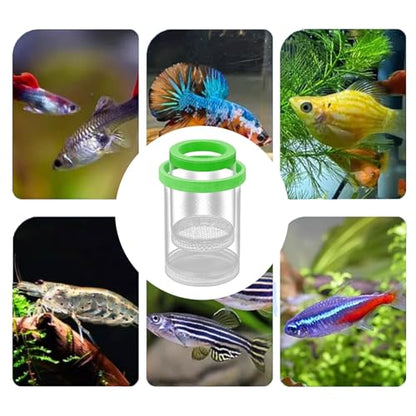 Fish Breeder Box - Clear Acrylic, Strong Suction Cups, V-Grate, Safe Fry Hatching Tank Guppy, Protects Fish, Betta Shrimp Isolation Space, Aquatic Separator Nursery | for Aquarium - color: Green