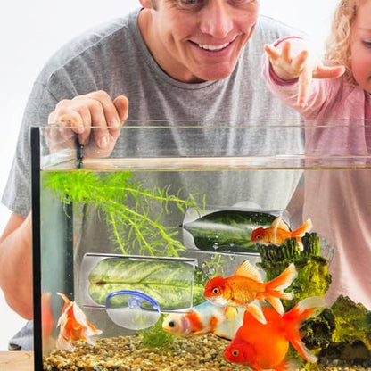 Veemoon 2 Pcs Acrylic Betta Fish Tube Tunnel with Suction Cups Transparent Betta Hideout and Resting Leaf Aquarium Decoration 3.14 X 1.57 Inch Fish Tank Accessory for Home and Office