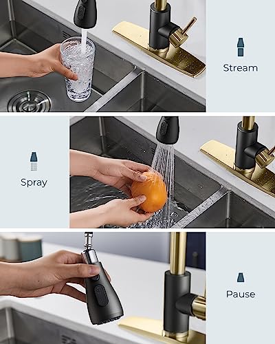FORIOUS Kitchen Faucets with Pull Down Sprayer, High Arc Single Handle Classic Stainless Steel Sink Faucet 1 or 3 Hole, Suitable for Farmhouse Camper Laundry Rv Bar, Black Gold - color: Black&Gold, style: Classic