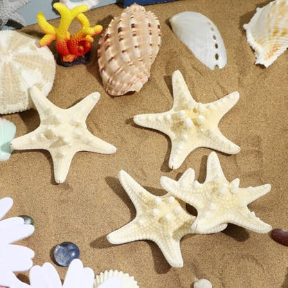 ULTECHNOVO Natural Decorative Ornament 3.14 Inch Seashell Wall and Aquarium for Home Wedding Garden Crafts