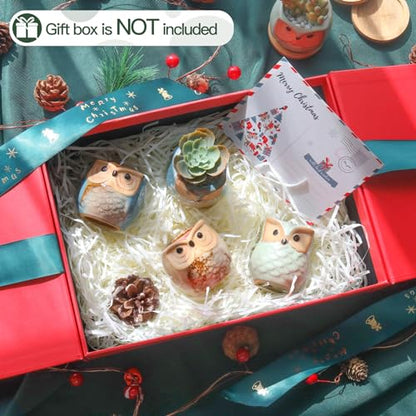 T4U 2.5 Inch Owl Ceramic Succulent Planter Pots with Drainage Hole Set of 12, Mini Cactus Pots Tiny Cute Plant Holder Container Best for Home Office Decor Gardening Gift
