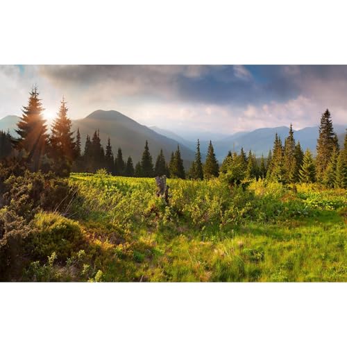 Sunrise Mountain Landscape Aquarium Background Lush Green Wild Meadow Plants Pine Trees Fish Tank Background Misty Foggy Cloudy Blue Sky Mountain Ridge Reptile Tank Terrarium Backgrounds 30x12in