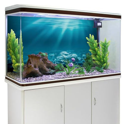 AWERT 30x18 inches Undersea Theme Aquarium Background Sunshine Underwater World Fish Tank Background Durable Polyester Background - size: 30x18in/75x45cm