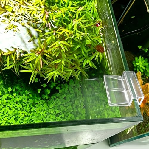 Murtenze 8 PCS Aquarium Lid Clips, 12mm Clear Acrylic Fish Tank Holder Support Clamps for Rimless Aquariums - size: 12mm