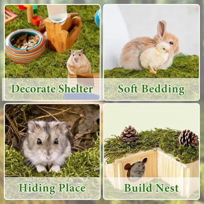 12QT Small Animals Bedding & Nesting Material, Forest Moss for Odor Control Rabbits Squirrels Hamsters Guinea Pigs, Soft & Safe for Small Animals Cages Terrariums Reptiles Plants