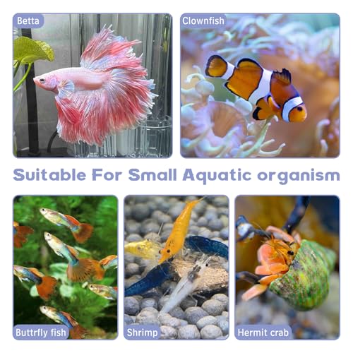 Natural Driftwood for Aquarium Decor 12 PCS Fish Tank Wood with Small Holey Aquarium Wood Aquascaping for Shrimp Betta Hermit Crab and Butterfly Fish - size: XS:3-6 inches-12pcs