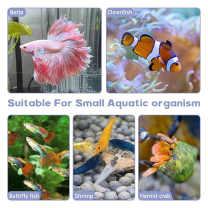 Natural Driftwood for Aquarium Decor 12 PCS Fish Tank Wood with Small Holey Aquarium Wood Aquascaping for Shrimp Betta Hermit Crab and Butterfly Fish - size: XS:3-6 inches-12pcs