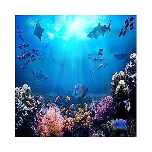 8x8ft Underwater World Backdrop for Photography Aquarium Seabed Rocks Lights Coral and Fishes Tropical Ocean Scene Under The Sea Background Kids Party Decoration Banner Photobooth Props - size: 8x8ft