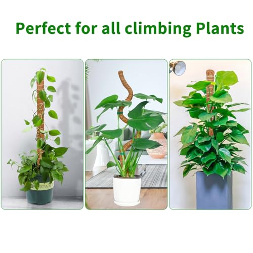 2 Pack 28 Inch Moss Pole Monstera Plant Support, Coir Moss Poles for Climbing Indoor Plants, Bendable Plant Stake Trellis for Potted Plant, Pothos, Philodendron - size: 2 Pack ( 28-Inch)