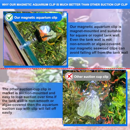 Waterproof Magnetic Seaweed Clip for Saltwater Fish Feeding nori Clip Aquariums Magnet Veggie Feeder Plant clamp Fish Accessories—Patented Product (1pcs Magnetic Veggie Clip)