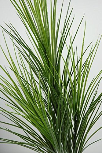 Richland Tall PVC Grass 32" (1) - color: Green, size: 32''
