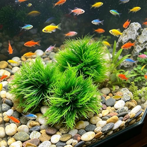 3 Pack Aquarium Plants,Decorations Artificial Fish Tank Plants with Weighted Base Green Aquarium Decor for Betta Tanks Aquascaping Reptile Terrariums (Green 3Pcs)