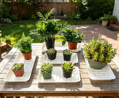 6 Pack Plastic Plant Tray Saucer Rectangular 13 Inch, Heavy Duty Planter Saucers for Indoors, Plant Water Drip Trays for Flower Pot, Windowsill Pot Tray, Growing Trays (6.5 X 13 Inch, White)