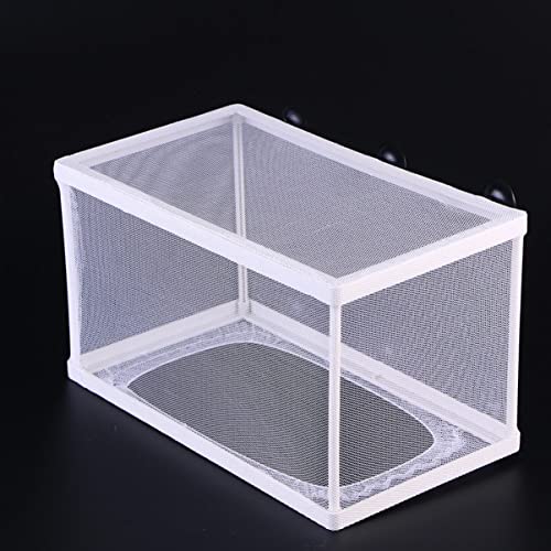 FOMIYES 3pcs Isolation Box Network for Fish Tank Small Fishing Net Suction Cup Fish Brooder