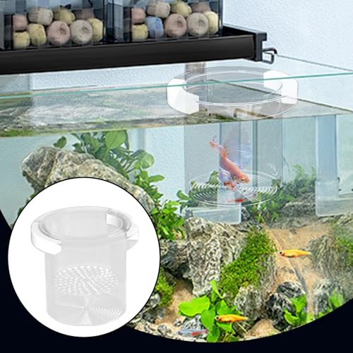 Fish Tank Breeder Box - Fish Breeder Box for Aquarium | Safe Divider Hatchery Incubator | Feeding Container for Fry, Egg, Shrimp, Guppy, Acclimation, Angelfish, Betta, PP Material