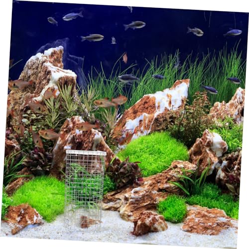 Totority Fish Breeding Cone Grid Iron Tank Breeding Box Net for Aquarium Spawning and Hatching Colorful Fish Shrimp Shelter Rust Resistant Protective Mesh