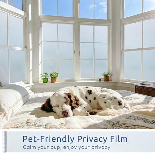 rabbitgoo Frosted Glass Window Privacy Film, No Glue, Anti-Glare Heat Blocking, Easy to Install, Renter Friendly Removable Opaque Bathroom Window Clings for Glass, 29.5" x 78.7" - color: Frosted White, size: 29.5" X 78.7"