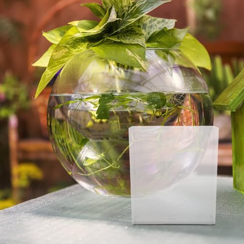 Portable Fish Breeding Box Small Betta Fish Tank Container for Aquarium Isolation and Observation Suitable