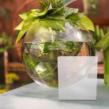 Portable Fish Breeding Box Small Betta Fish Tank Container for Aquarium Isolation and Observation Suitable