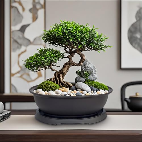 3 Pack Mixed Size Oval Bonsai Planter Pot with Drainage Tray, Matte Finish Ellipse Plastic Bonsai Succulent Growing Pot for Home Garden Plant Container 9.1” 7.2” 5.2” - size: 5.2" / 7.2" / 9.1" Mixed