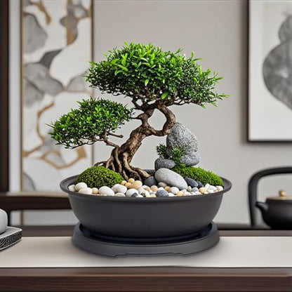3 Pack Mixed Size Oval Bonsai Planter Pot with Drainage Tray, Matte Finish Ellipse Plastic Bonsai Succulent Growing Pot for Home Garden Plant Container 9.1” 7.2” 5.2” - size: 5.2" / 7.2" / 9.1" Mixed