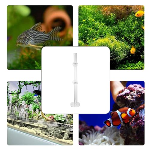 Shrimp Feeder Tube Aquarium Food Feeder with Sucker 40cm Fish Tank Feeding Tool for Aquarium and Shrimp Breeding