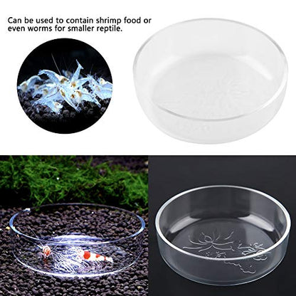 Acrylic Aquarium Shrimp Feeding Dish Bowl, Transparent Fish Food Container Feeder Tray Smaller Reptile Pets Feeder Dish