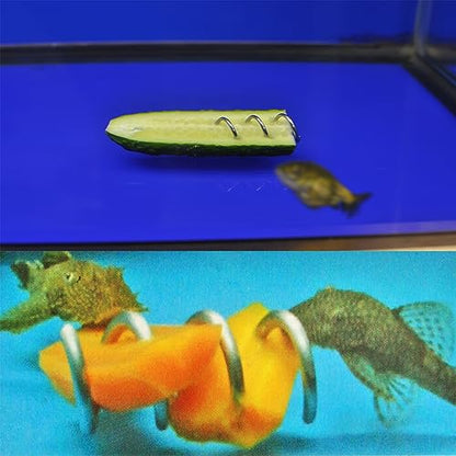 Fish Tank Aquarium Vegetable Feeder, Bottom Sinking Loach Feeder, Aquarium Vegetarian Feeder, Malawi Cichlid Snail Fresh Food Holder for Bottom Feeders 1 Pack