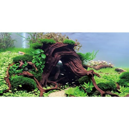 AWERT 24x12 inches Wood Aquarium Seaweed Aquarium Background River Bed & Lake Fish Tank Background Seagrass Aquarium Vinyl Background