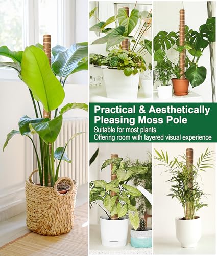 Moss Pole 126 Inch, 6 Pack 21" Monstera Plant Support for Climbing Potted Live Plants Indoor, Stackable Coco Coir Moss Sticks Monstera Stakes for Pothos Philodendron, with Garden Labels & Ties