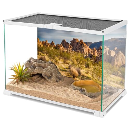 YongFoto Polyester Joshua Tree National Park Photography Background Stones Valley Cactus Shrub Bush Desert Sand Land Backdrop for Photoshoot Wild West Party 72x16 inches Dragon Tank Background - color: Yellow-2, size: 72x16 IN
