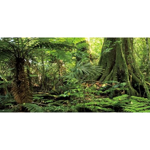 AWERT 36x20 inches Forest Terrarium Background Stone Green Huge Tree Reptile Habitat Background Tropical Rainforest Aquarium Background Durable Polyester Background