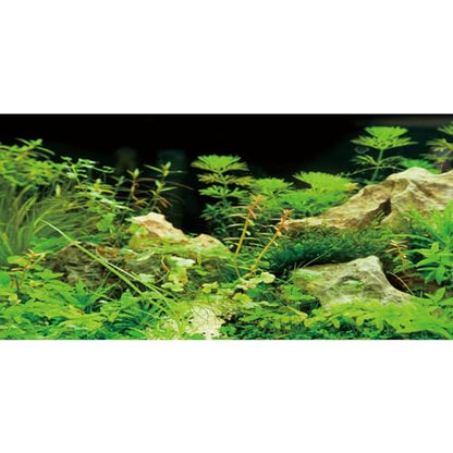AWERT 48x20 inches Aquarium Background Seaweed Aquarium Background Aquatic Plant Stone River Bed & Lake Fish Tank Background Vinyl Background - size: 48x20in/120x50cm